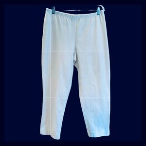 Women With Control Petite Slim Leg Ankle Pants. White. 2X Petite.